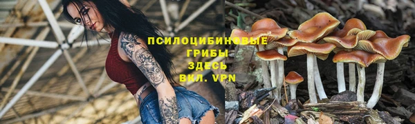 бутик Зерноград