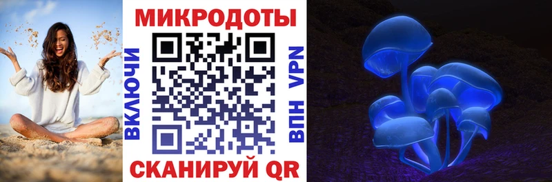 Купить закладки  Болохово  Псилоцибиновые грибы Psilocybe 
